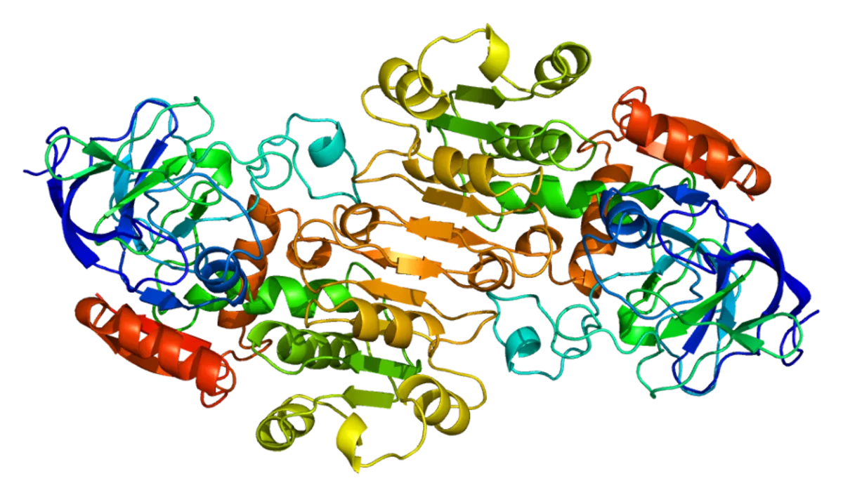 Alcohol dehydrogenase enzyme structure