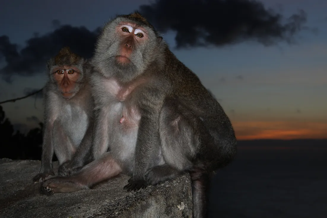 Uluwatu temple at sunset, Bali – IV Drip Bali 24 serves all areas including Uluwatu