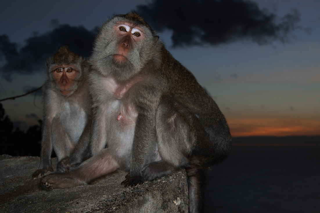 Uluwatu temple at sunset, Bali – IV Drip Bali 24 serves all areas including Uluwatu