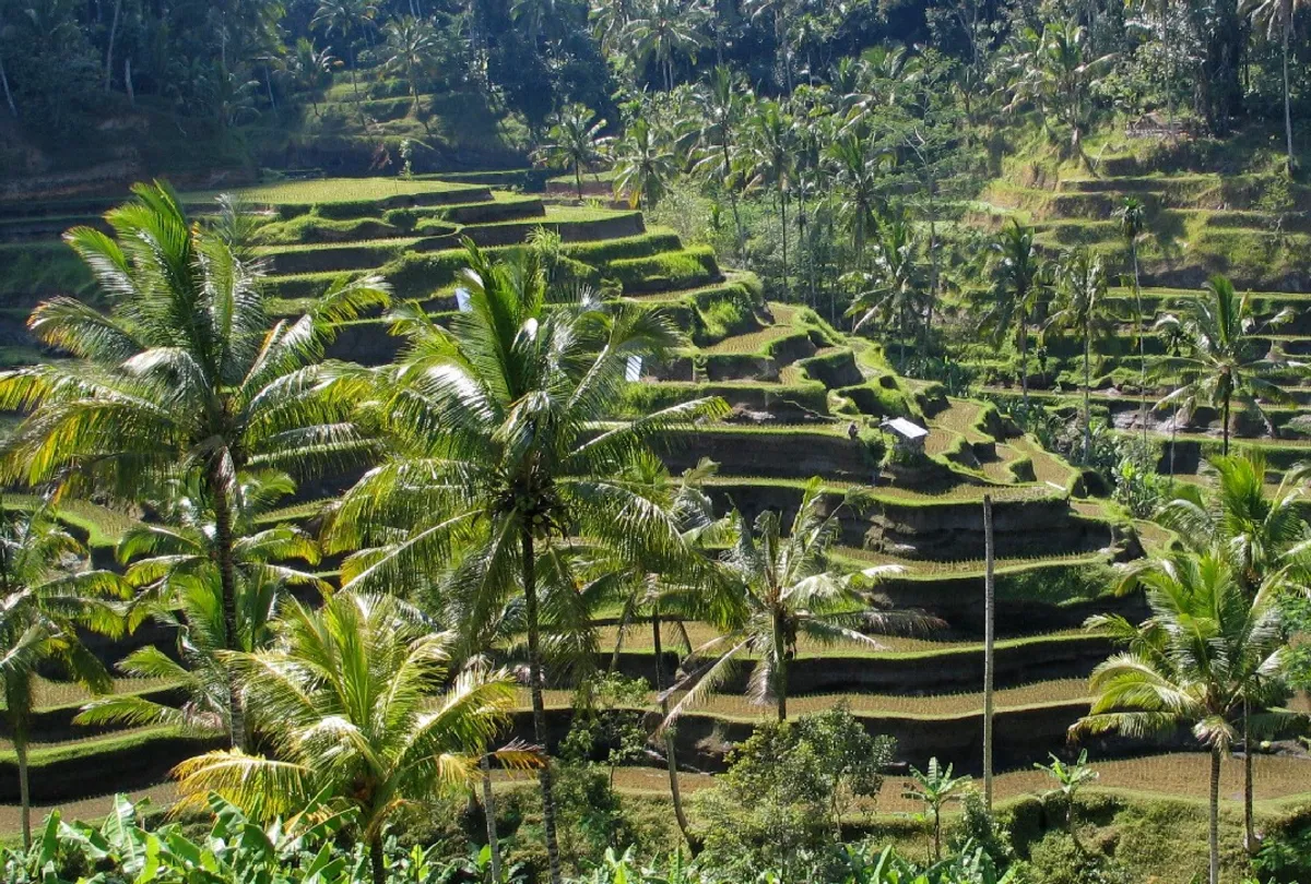 Bali panoramic view - stunning landscapes and vibrant nightlife